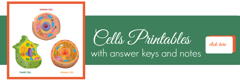 Cell Worksheets – The Learning Hypothesis