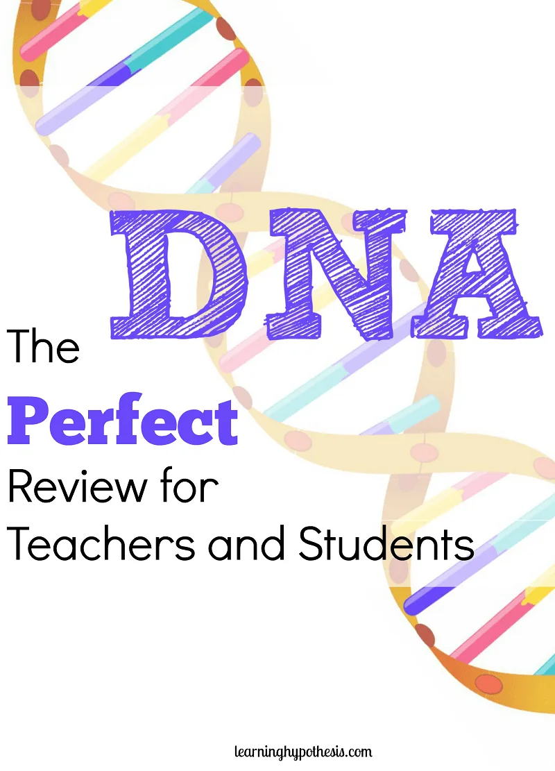 DNA Structure Notes & Review