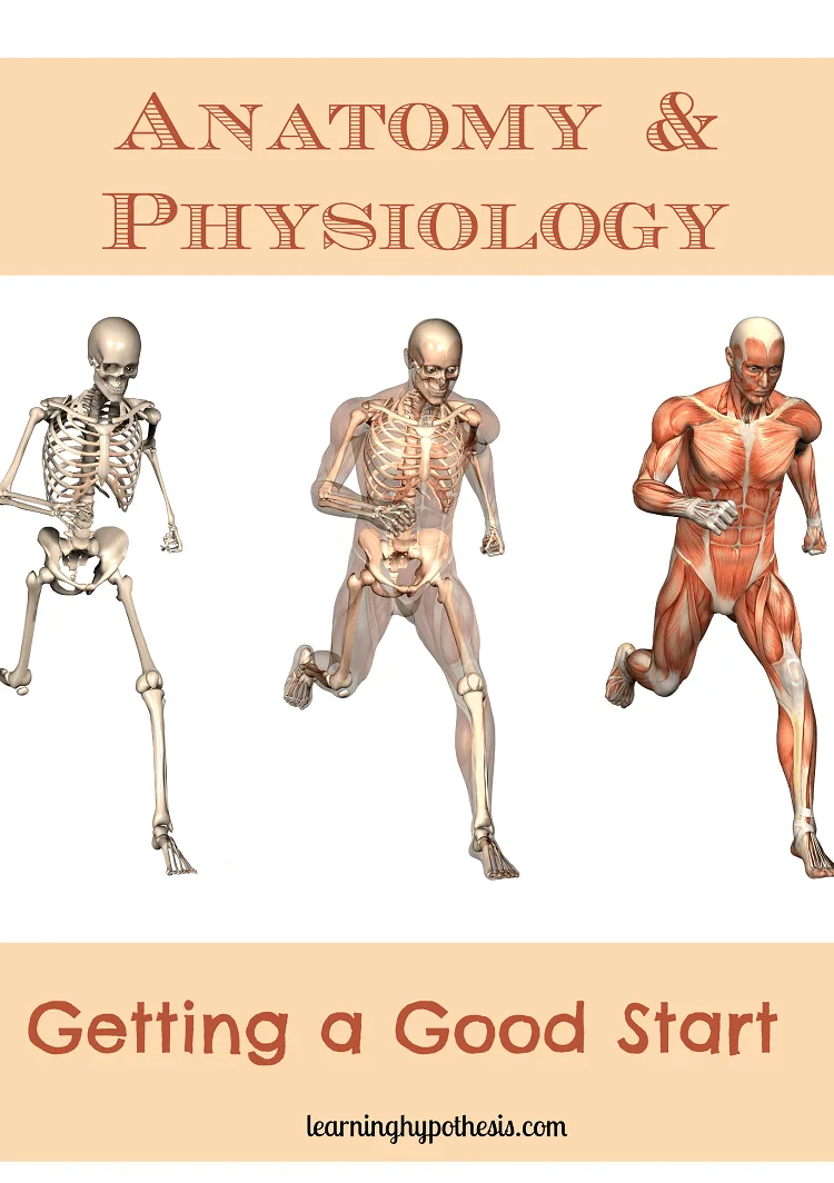 Anatomy & Physiology Getting A GOOD START