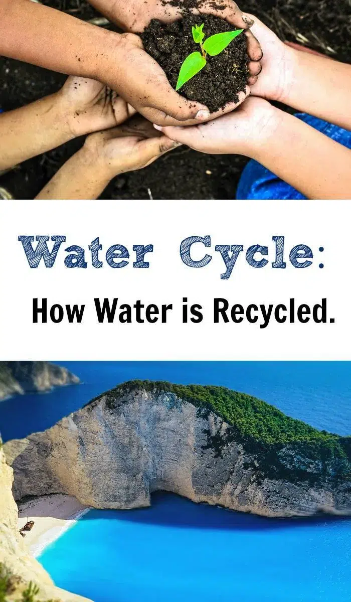 Water Cycle Lesson and Printable