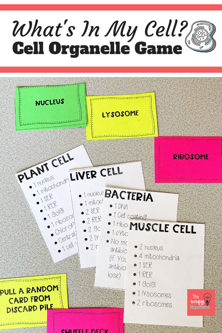 What’s In My Cell?