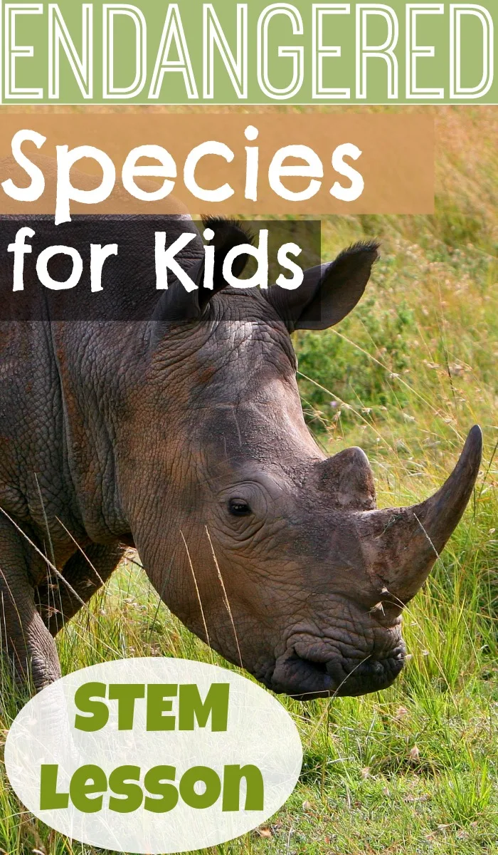 Endangered Species for Kids: A lesson on how we protect endangered species.