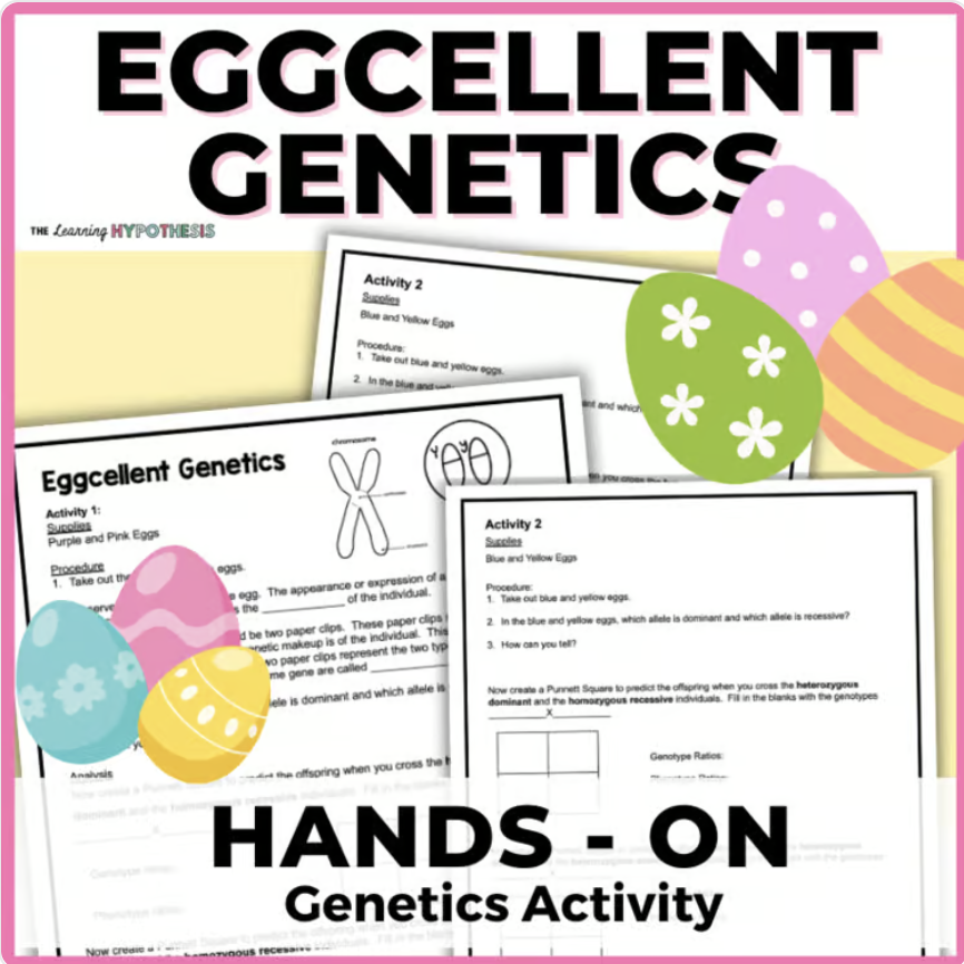 Cover of.a genetics product.  Easter egg genetics.  Pictures of product on front.  Covers Punnett squares, monohybrid crosses and more.