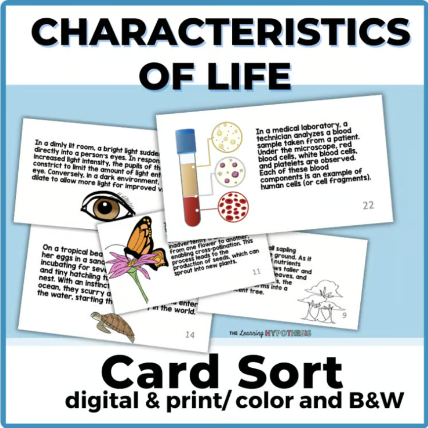Characteristics of life card sort cover image. It has pictures of the card sort cards.