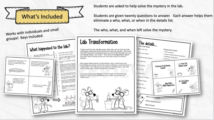 Protein Synthesis Lesson Plan – The Learning Hypothesis