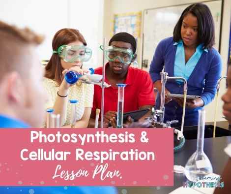 Photosynthesis and Cellular Respiration Lesson Plan