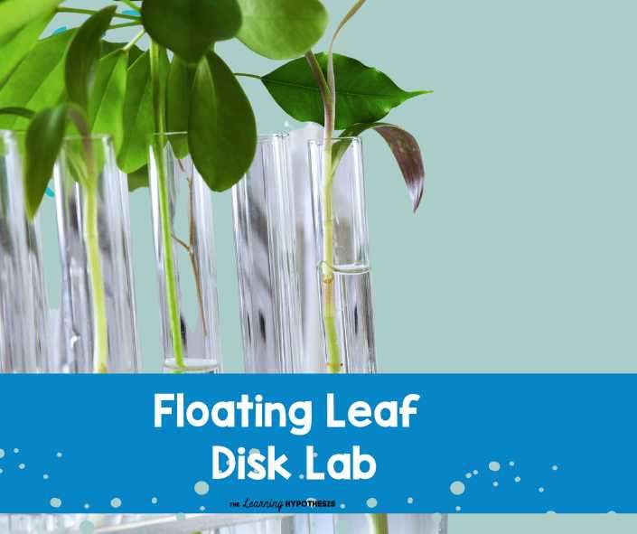 hypothesis for photosynthesis lab